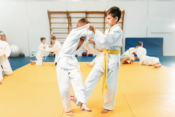 Judo